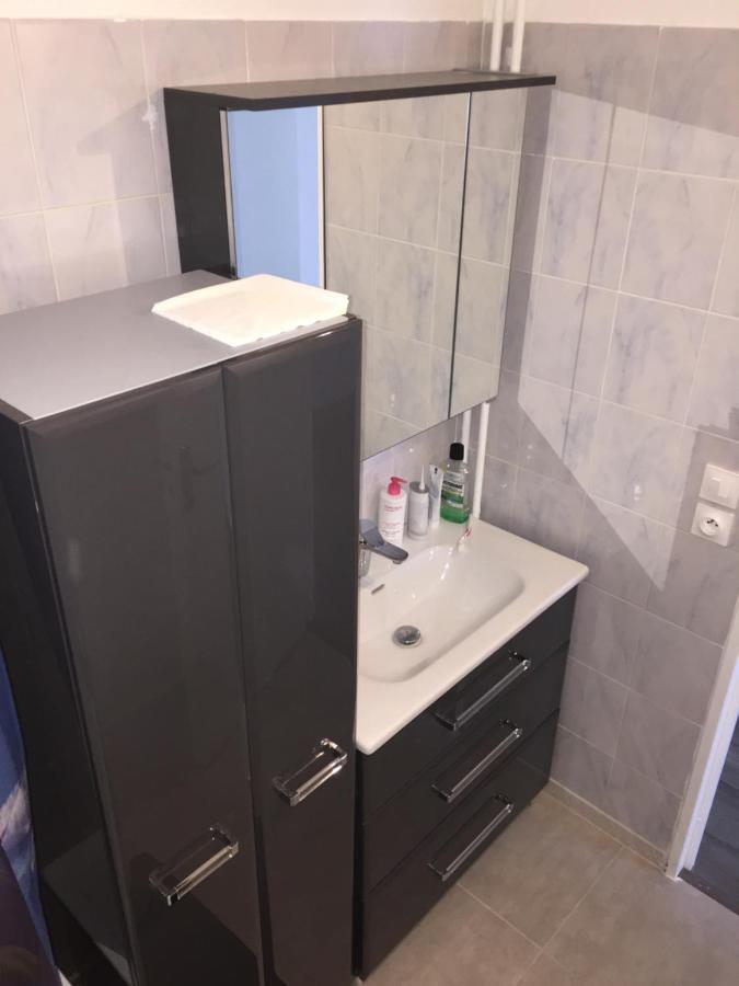 Grand Appartement A Louer Vue Sur Seine Melun Exterior foto
